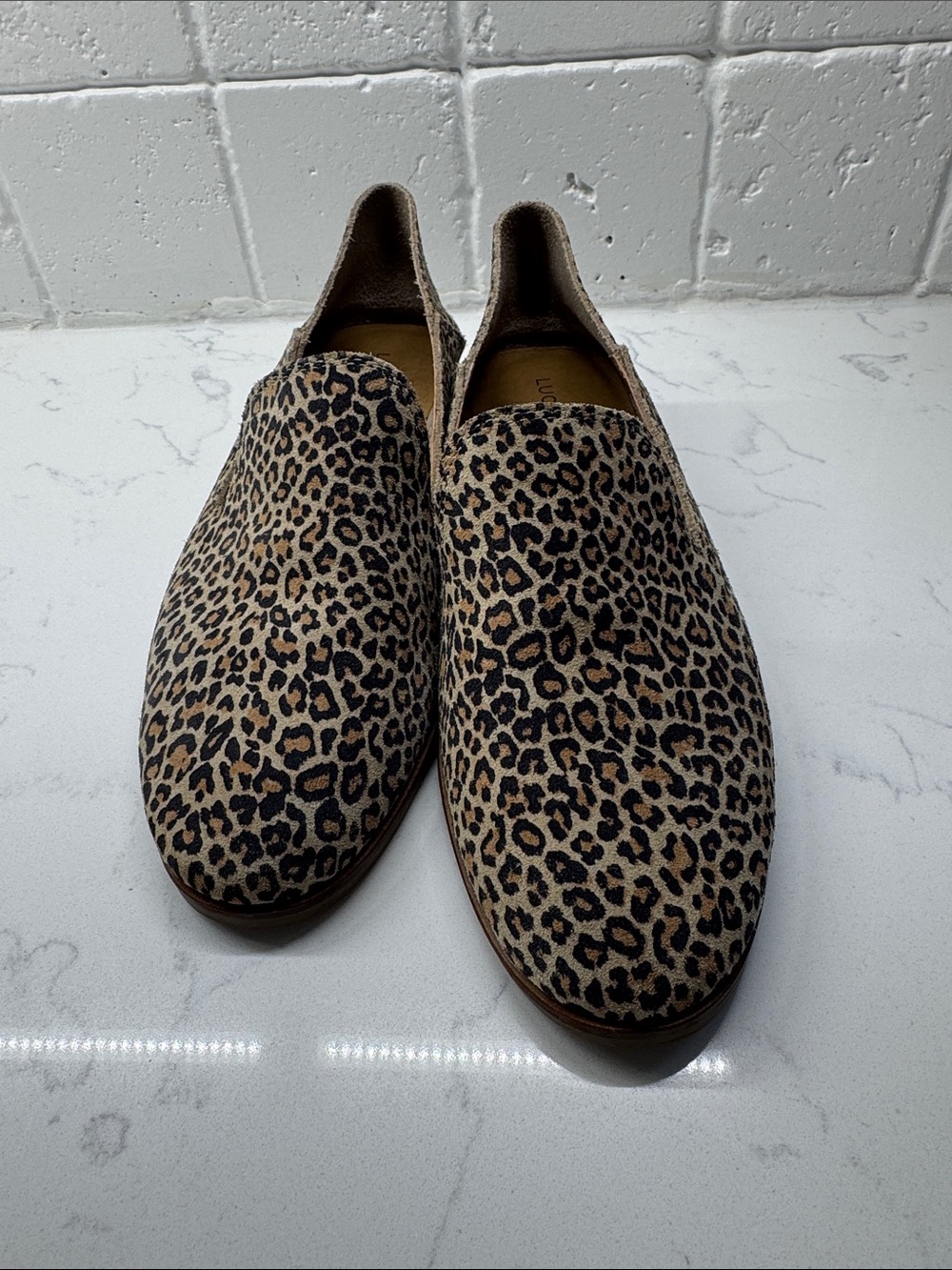 Leather Leopard Loafer